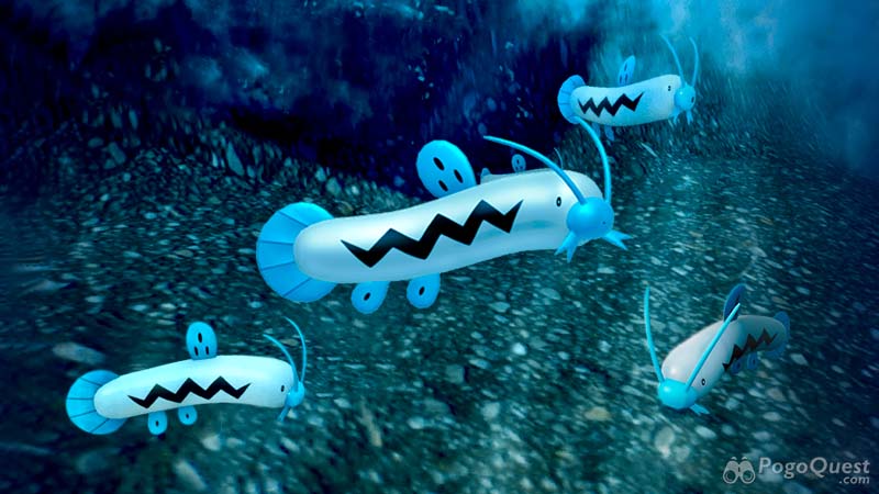 spotlight hour Barboach hora destacada