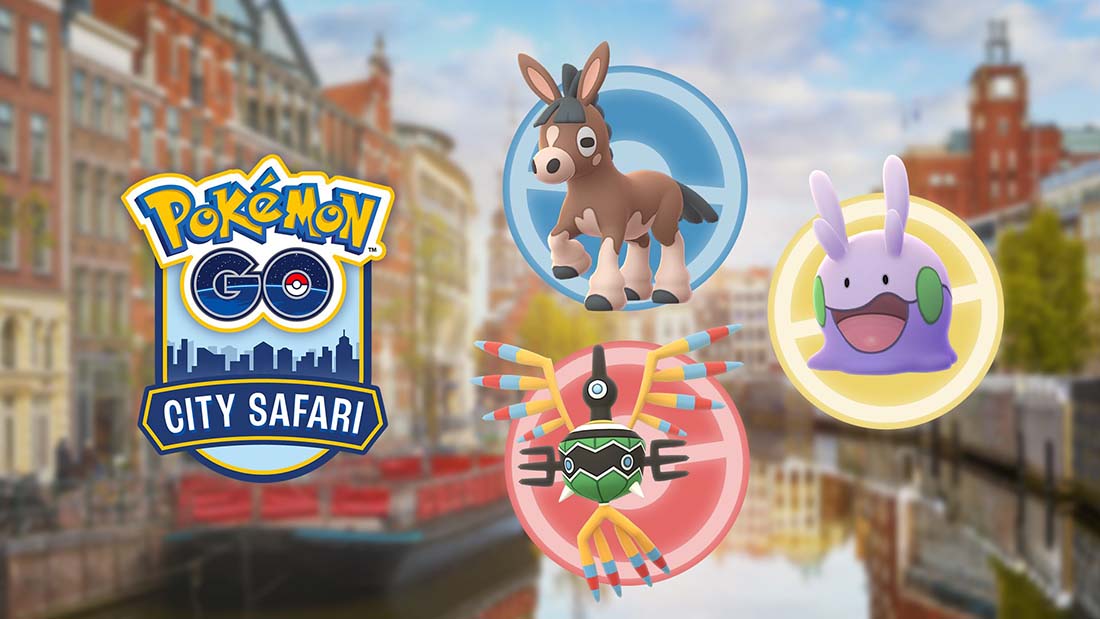 city safari Amsterdam Netherlands 2025