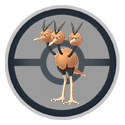 dodrio