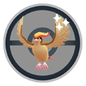 pidgeot